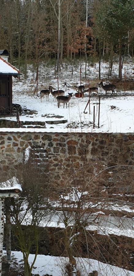 Hajovna Hnevnice Экстерьер фото